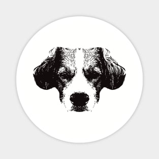 Kooikerhondje gift for Dutch Spaniel Owners Magnet